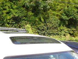 Toyota Noah  picture