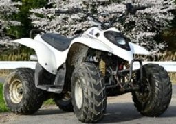 UNILLI ATV ATV50 picture