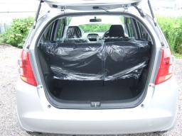 Honda Fit G Fpackage picture