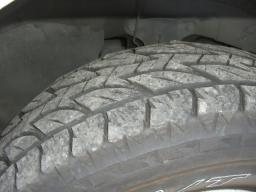 Mitsubishi DELICA SPACE GEAR XR picture