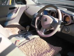 Nissan X-TRAIL   picture