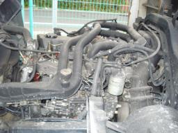 Isuzu TRUCK DIESEL picture