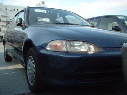 Honda Civic_Ferio  picture