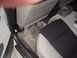 Nissan Primera  picture