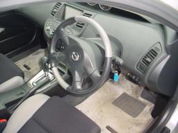 Nissan Primera  picture