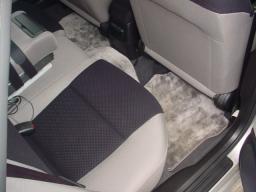 Nissan Primera  picture