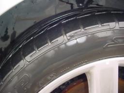 Nissan Primera  picture