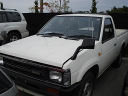 Nissan DATSUN  picture