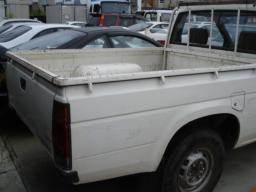 Nissan DATSUN  picture