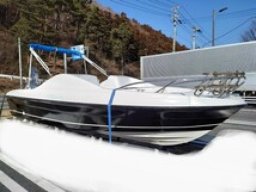 Yamaha Boat SRV20 picture