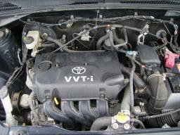 Toyota PROBOX new_grade picture