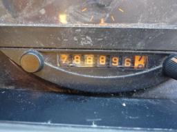 Isuzu Elf new_grade picture