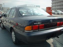 Toyota Corolla SE-LIMITED picture