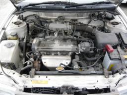 Toyota Corolla  picture