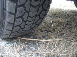 Toyota LAND CRUISER PRADO 3.0DT TX picture