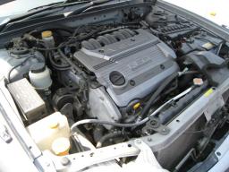 Nissan CEFIRO excimo picture