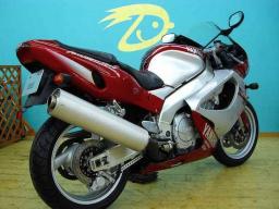 Yamaha YZF1000 sport picture
