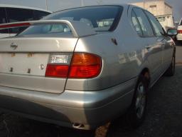 Nissan Primera TM picture