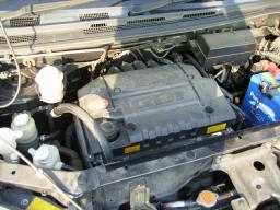 Mitsubishi Dion  picture