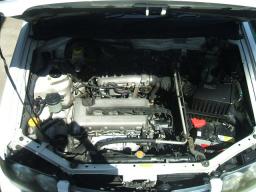 Nissan RNESSA G picture