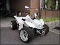 ATV 110 