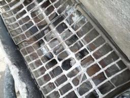 Nissan BIG SUM new_grade picture