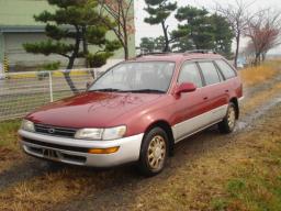 Toyota Corolla Wagon