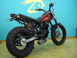 Yamaha TW200E  picture