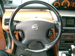 Nissan X-TRAIL  picture