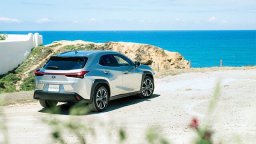 Lexus  UX250h picture