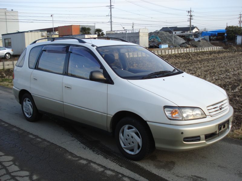 Toyota Ipsum