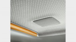 Toyota Century  picture