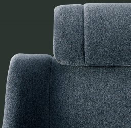 Toyota Century  picture