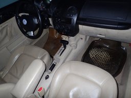 VOLKSWAGEN NEW BEETLE  picture