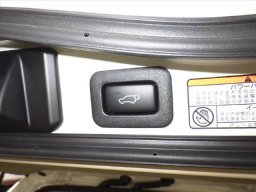 Toyota Land cruiser ZX picture