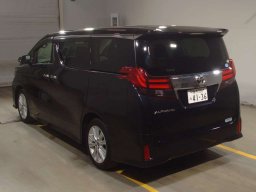 Toyota Alphard S picture