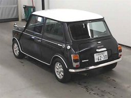 Rover MINI  picture