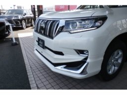 Toyota LAND CRUISER PRADO TX picture