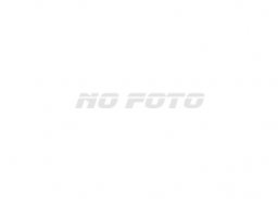 Toyota Mark II Tourer -V picture