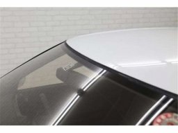 Nissan SKYLINE GT-R SHOCK-ABSORBER BREMBO picture