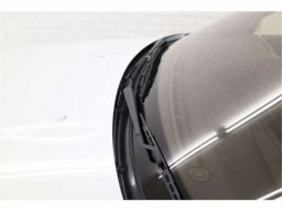 Nissan SKYLINE GT-R SHOCK-ABSORBER BREMBO picture