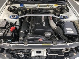 Nissan SKYLINE GT-R V SPEC picture