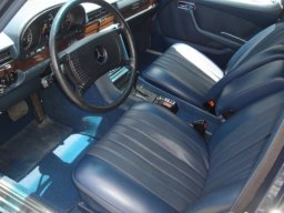 Mercedes-Benz S Class 450SE picture