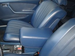 Mercedes-Benz S Class 450SE picture