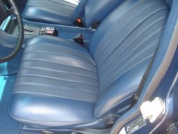 Mercedes-Benz S Class 450SE picture