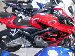 Honda CBR 600 RR  picture
