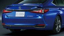 Lexus  F SPORT picture