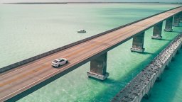 Lexus  F SPORT picture