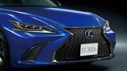 Lexus  F SPORT picture