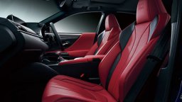 Lexus  F SPORT picture